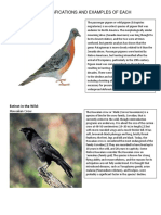 Extinct:: Iucn Classfications and Examples of Each