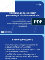 01_06_Production_&_downstream_processing_Jiskoot.pdf
