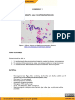 Experiment 2: Figure 1: A Gram Staining of Staphylococcus Aureus (Source:)