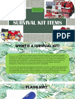 Essential survival kit items under 40 chars