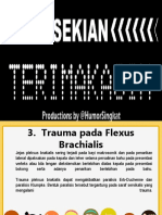 Trauma Brackilalias