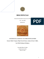 analisis de marcha factores moduladores.pdf