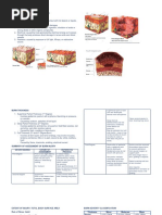 Types of Burns