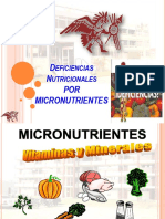 Deficiencias Nutricionales