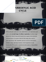 Tricarboxylic Acid Cycle