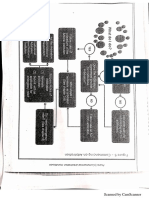 Adr Flowchart