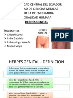 Herpes Genital2