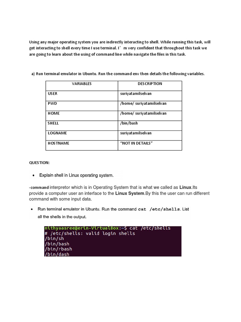 Linux Command Line Basics | PDF | Technology & Engineering