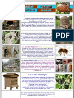 Habitat Des Abeilles Ruches PDF