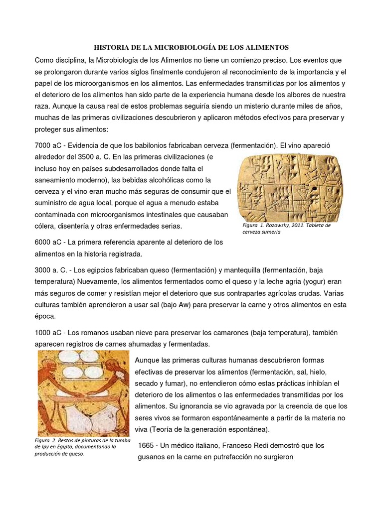 Historia de La Microbiología de Los Alimentos | PDF | Luis Pasteur ...