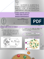 Cic y Nutricion Mineral