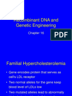 16-Recombinant-DNA.ppt