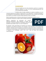 ALIMENTOS TRANSGENICOS -NELIDA Nª3.docx