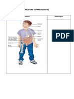 5. Anatomi Sistem Imunitas.pdf
