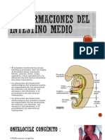 Malformaciones Del Intestino Medio