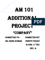 BAM 101 Additional Project: "Company"