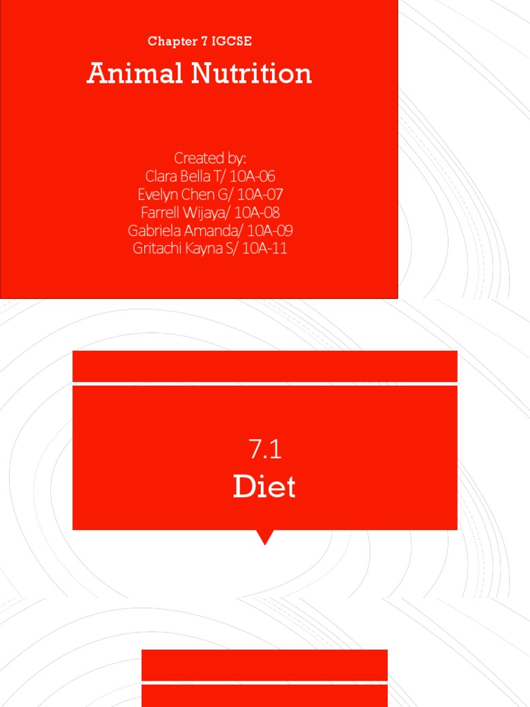 Chapter 7 IGCSE Animal Nutrition PDF Human Tooth Digestion