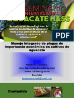 Manejo Integrado Plagas Importancia Economica Cultivos Aguacate