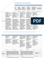 Rubrica Plan de Carrera Profecional PDF