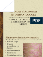 Grandes Síndromes Derma