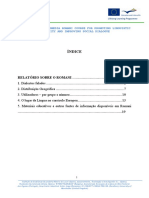 ROMANINET Linguistic Report PT PDF