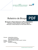 30282062-EXTRACAO-E-CARACTERIZACAO-DE-POLISSACARIDEOS-Extracao-e-caracteizacao-do-amido-da-batata-e-do-glicogenio-hepatico.pdf