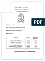 Perfil Paleta Modificado