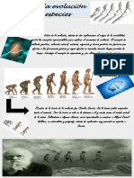 Cartel Teoría de La Evolución