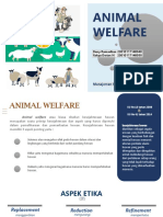 MPT Animal Welfare