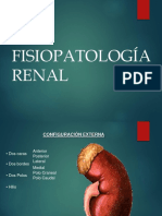 Fsp Renal fisiopatologia renal Base