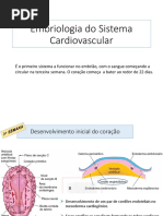 AULA_-_Embrio_Sistema_Cardiovascular (1).pdf