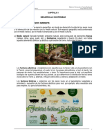 Capitulo I PC Ambiental
