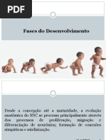 Marcos do Desenvolvimento Neuropsicomotor | PDF | Sistema visual | Natureza