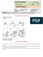 Ciclo de vida plantas