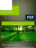 NSTP-CWTS Report - Environment Protection and Beautification