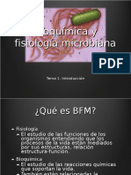 1__Estructura_y_funcion_celular_bfm.ppt