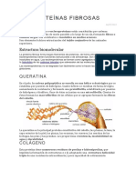 Las principales proteínas fibrosas: queratina, colágeno, elastina