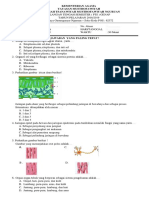 Soal PTS KLS 7 2019 GNB