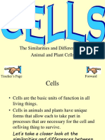Animal Plant Cells