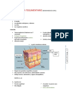 Sistema Tegumentario