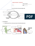 General Psychology - Quiz