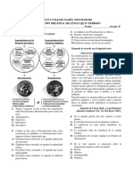 Pre-Final IV.P Lenguaje 8°