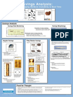 doclegend.com_slb-cavings-morphology-poster.pdf