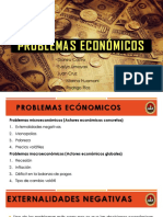 Grupo 10 Problemas Económicos