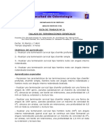 GU_A_DE_TRABAJO_N_2_TERMINACIONES.pdf