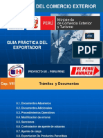 Guia Practica Del Exportador 8