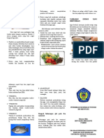 Leaflet Nutrisi Ibu Menyusui