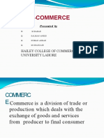 E-Commerce: Hailey College of Commerce Punjab University Lahore