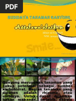 fdokumen.com_budidaya-tanaman-ganyong.pptx