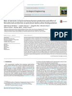 ROLE OF BACTERIA